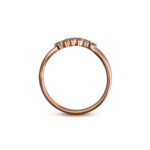 Minola Golden Ring Rings